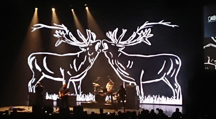 Nec feugiat nisl pretium fusce id velit