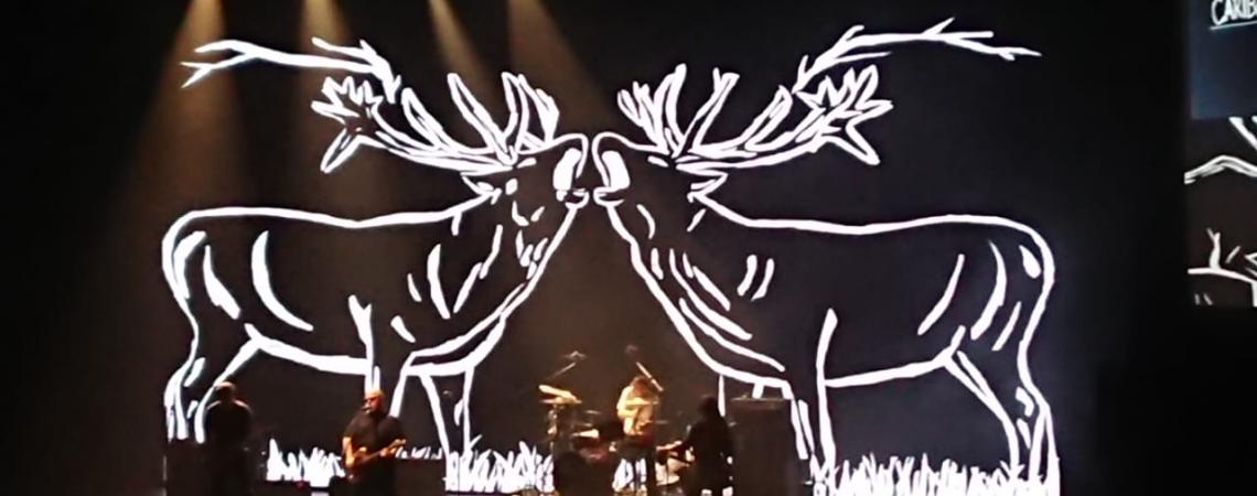 Nec feugiat nisl pretium fusce id velit