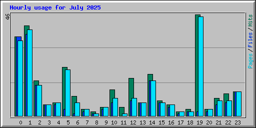 Hourly usage for July 2025