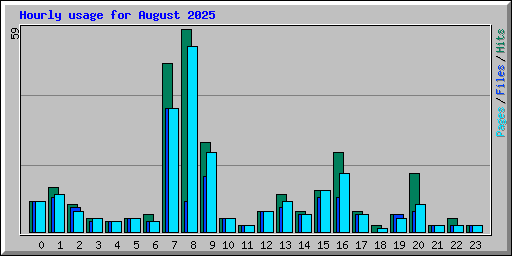 Hourly usage for August 2025