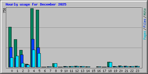 Hourly usage for December 2025