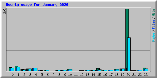 Hourly usage for January 2026