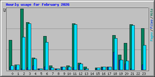 Hourly usage for February 2026